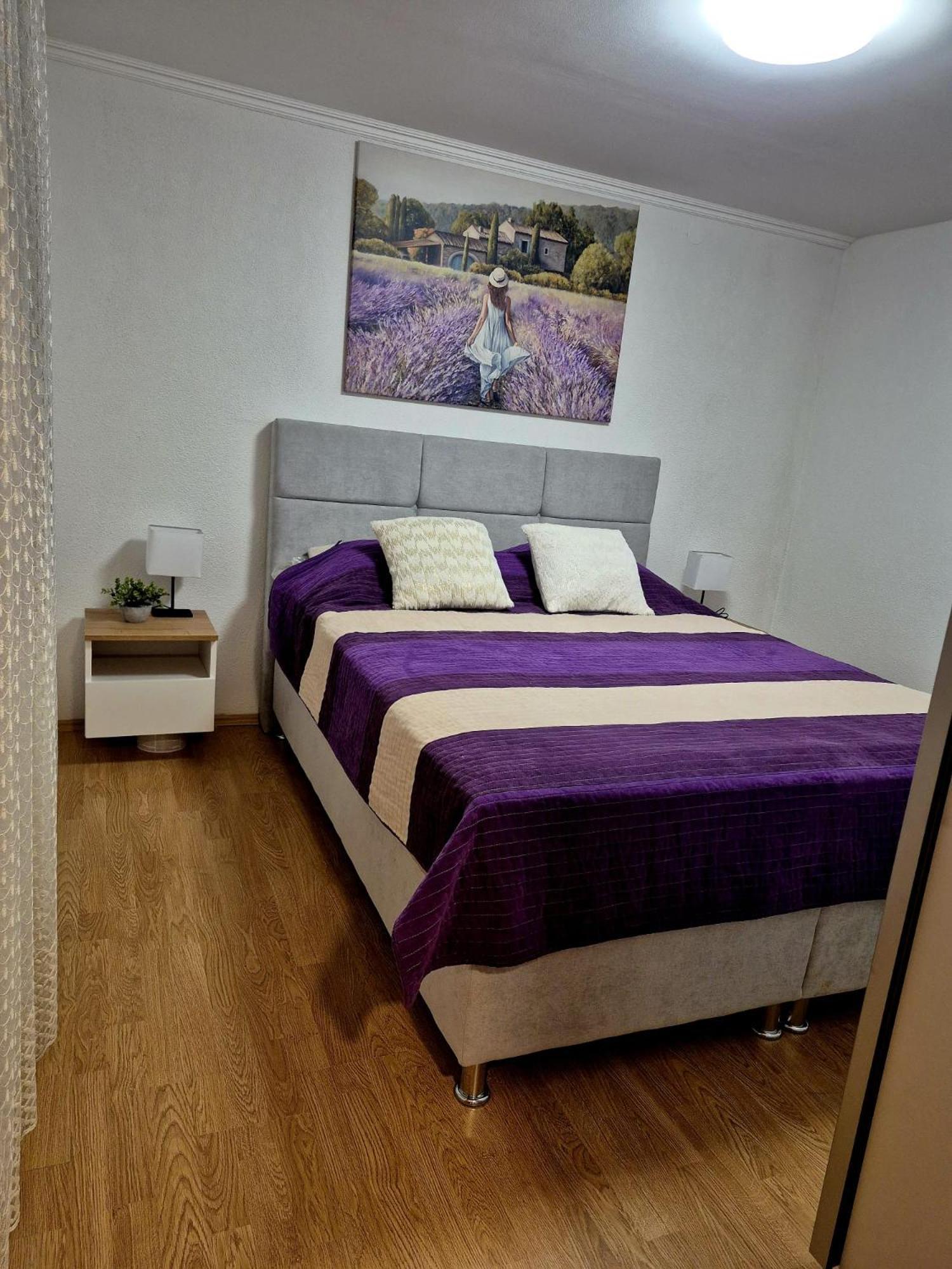 Maris Apartment Vodenjak Luaran gambar